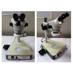 Binocular Microscope